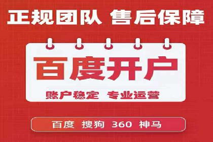 百度竞价SEM案例研究：提升转化率的关键策略